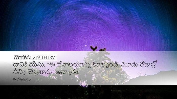 యోహాను 2:19 TELIRV Bible Verse Image