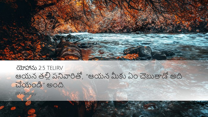 యోహాను 2:5 TELIRV Bible Verse Image