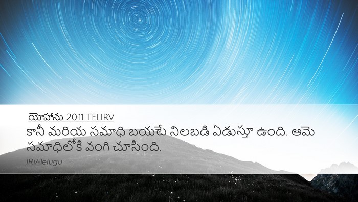 యోహాను 20:11 TELIRV Bible Verse Image
