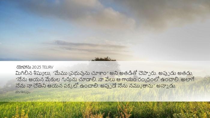 యోహాను 20:25 TELIRV Bible Verse Image