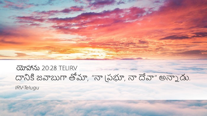 యోహాను 20:28 TELIRV Bible Verse Image