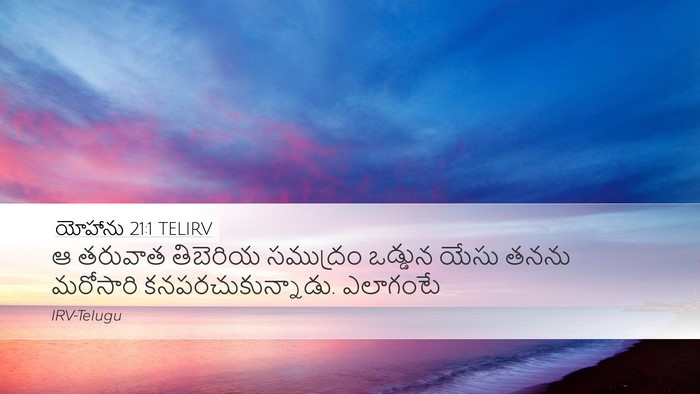 యోహాను 21:1 TELIRV Bible Verse Image