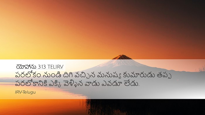 యోహాను 3:13 TELIRV Bible Verse Image