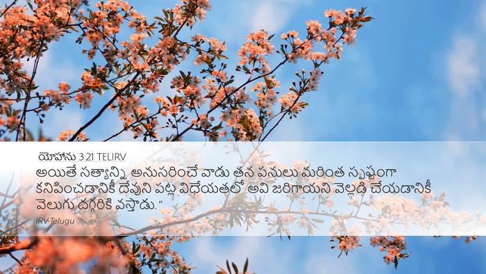 యోహాను 3:21 TELIRV Bible Verse Image