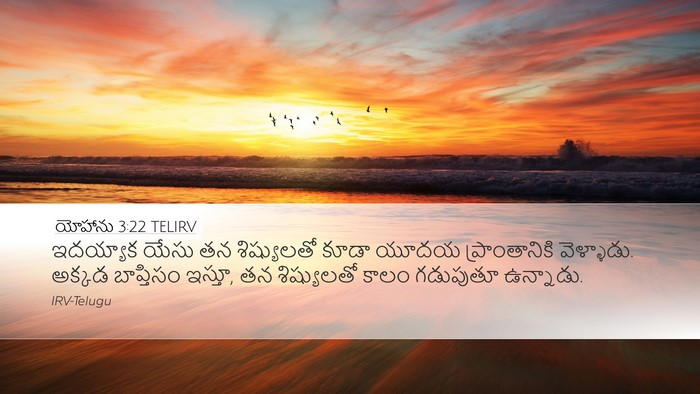 యోహాను 3:22 TELIRV Bible Verse Image