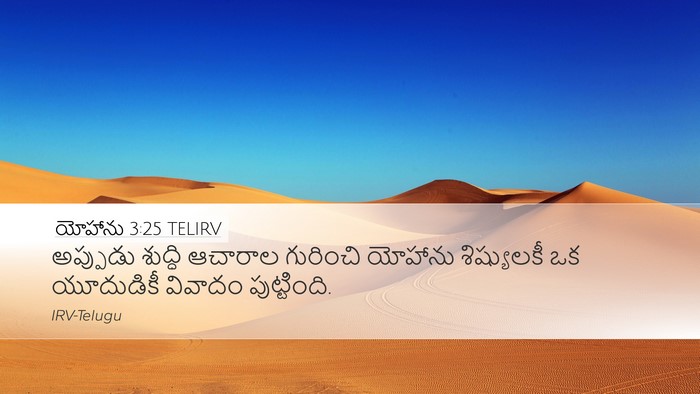 యోహాను 3:25 TELIRV Bible Verse Image