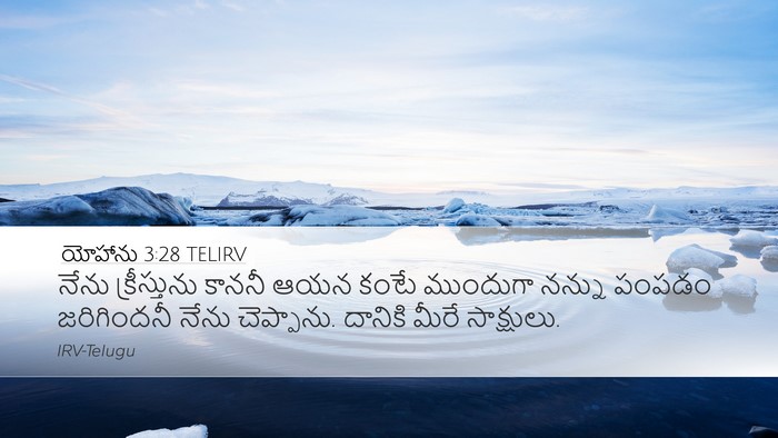 యోహాను 3:28 TELIRV Bible Verse Image