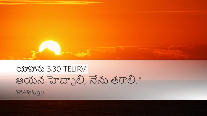 యోహాను 3:30 TELIRV Bible Verse Image