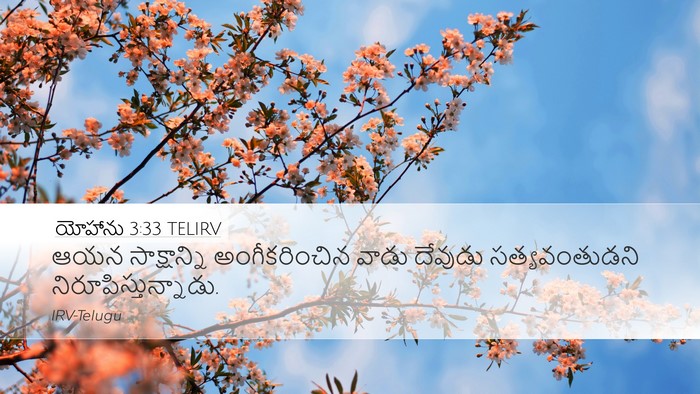 యోహాను 3:33 TELIRV Bible Verse Image
