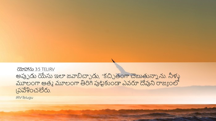 యోహాను 3:5 TELIRV Bible Verse Image