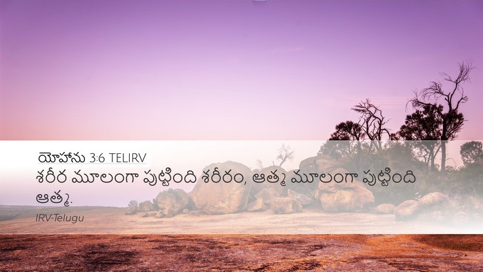 యోహాను 3:6 TELIRV Bible Verse Image