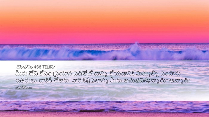యోహాను 4:38 TELIRV Bible Verse Image