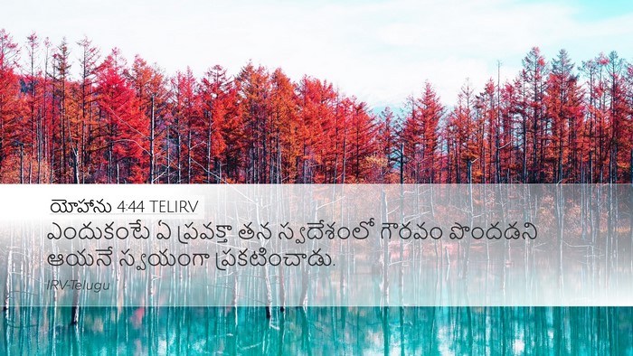 యోహాను 4:44 TELIRV Bible Verse Image