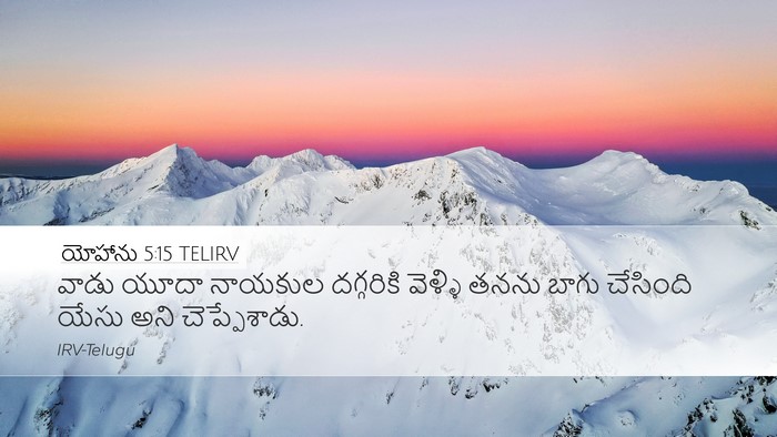 యోహాను 5:15 TELIRV Bible Verse Image