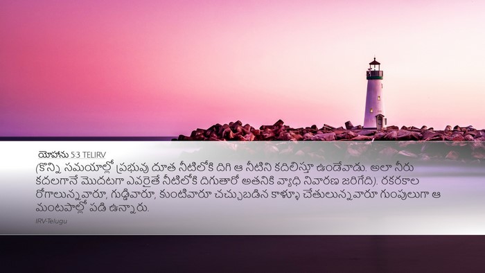 యోహాను 5:3 TELIRV Bible Verse Image