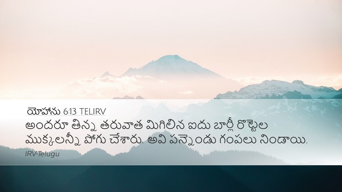 యోహాను 6:13 TELIRV Bible Verse Image