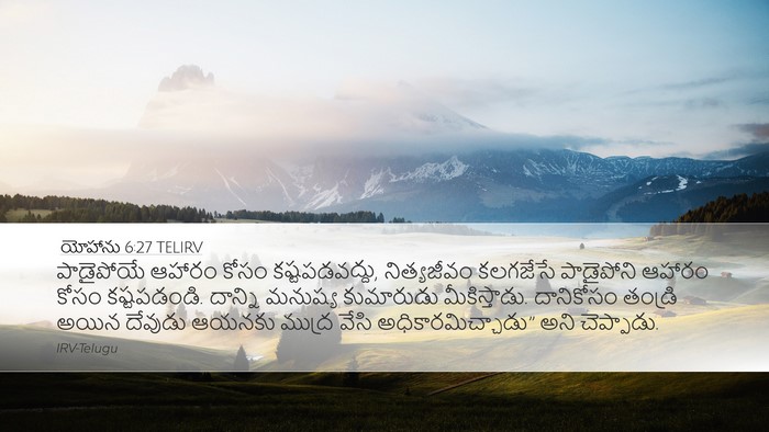 యోహాను 6:27 TELIRV Bible Verse Image