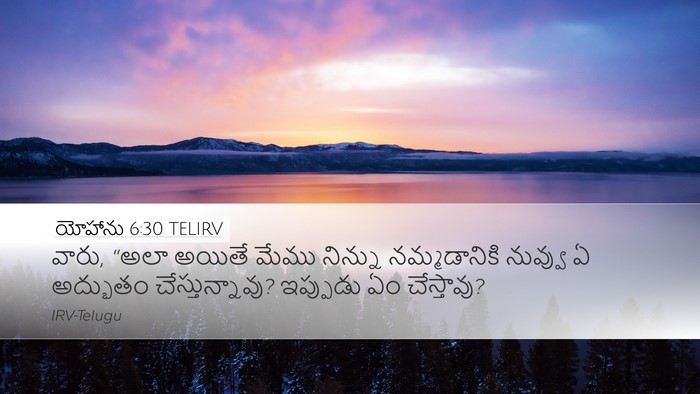 యోహాను 6:30 TELIRV Bible Verse Image