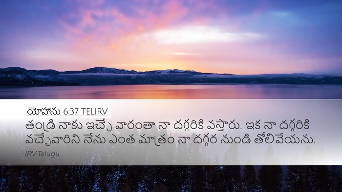 యోహాను 6:37 TELIRV Bible Verse Image