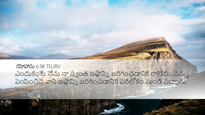 యోహాను 6:38 TELIRV Bible Verse Image