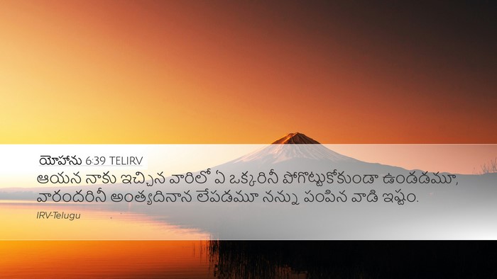 యోహాను 6:39 TELIRV Bible Verse Image