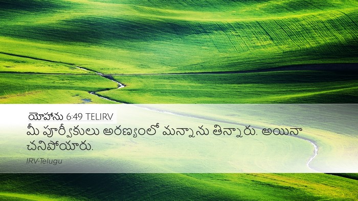 యోహాను 6:49 TELIRV Bible Verse Image