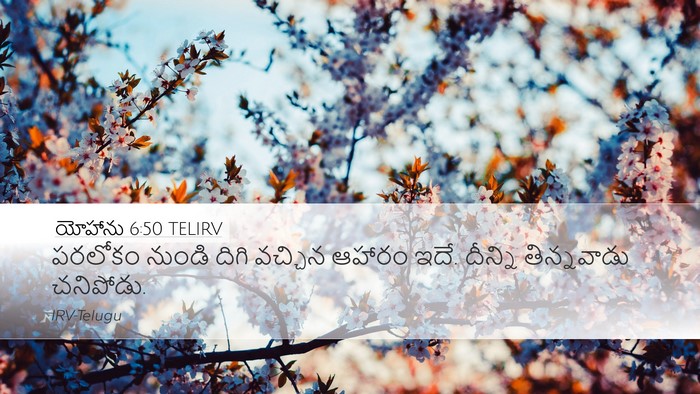 యోహాను 6:50 TELIRV Bible Verse Image