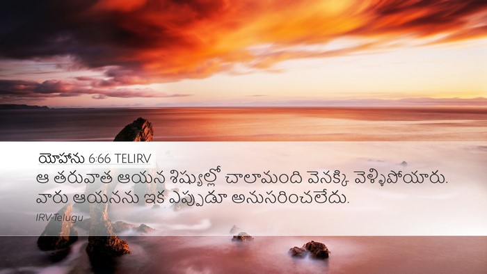 యోహాను 6:66 TELIRV Bible Verse Image