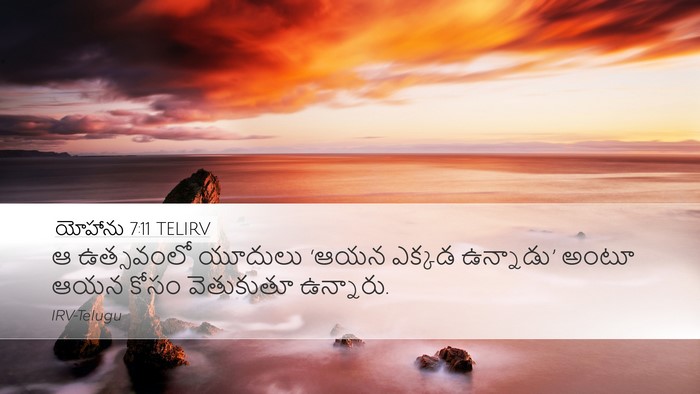 యోహాను 7:11 TELIRV Bible Verse Image