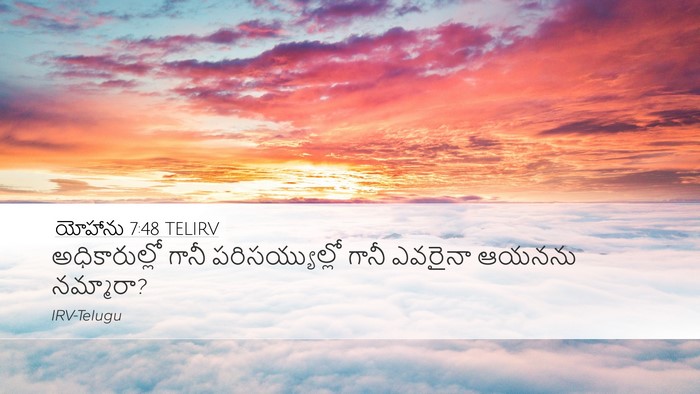 యోహాను 7:48 TELIRV Bible Verse Image