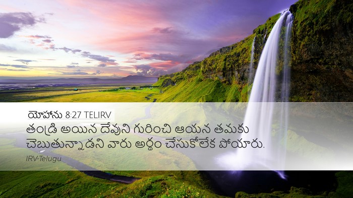 యోహాను 8:27 TELIRV Bible Verse Image