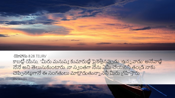 యోహాను 8:28 TELIRV Bible Verse Image