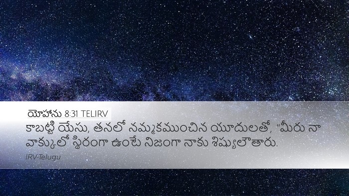 యోహాను 8:31 TELIRV Bible Verse Image