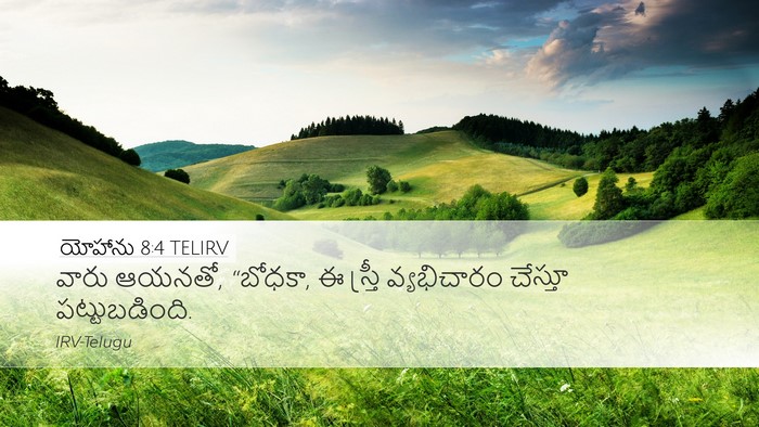 యోహాను 8:4 TELIRV Bible Verse Image