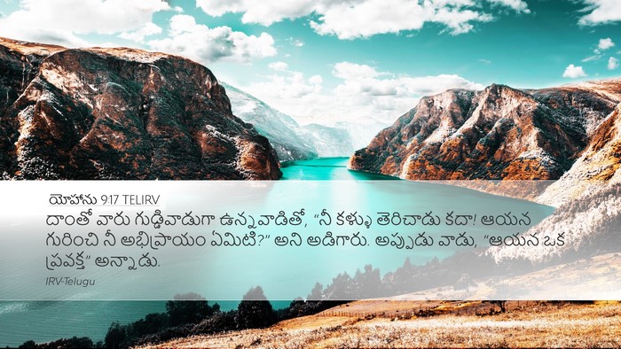 యోహాను 9:17 TELIRV Bible Verse Image