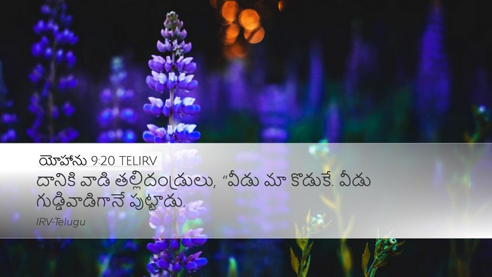 యోహాను 9:20 TELIRV Bible Verse Image
