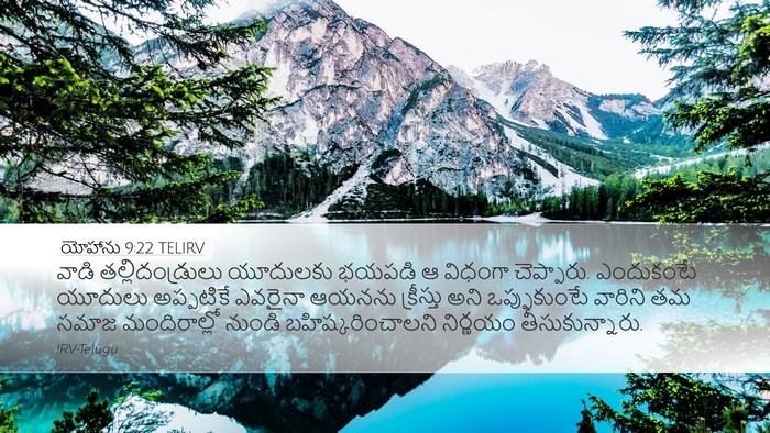 యోహాను 9:22 TELIRV Bible Verse Image