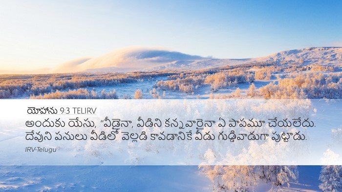 యోహాను 9:3 TELIRV Bible Verse Image