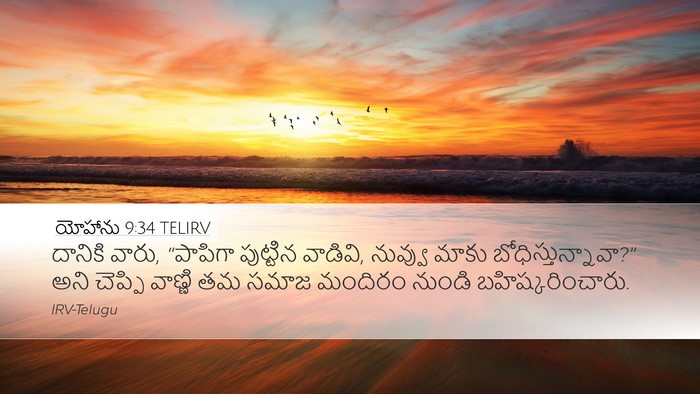 యోహాను 9:34 TELIRV Bible Verse Image
