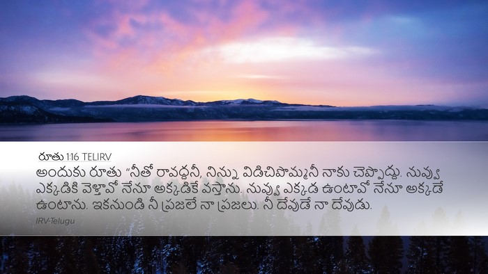 రూతు 1:16 TELIRV Bible Verse Image