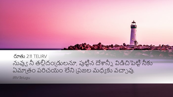 రూతు 2:11 TELIRV Bible Verse Image