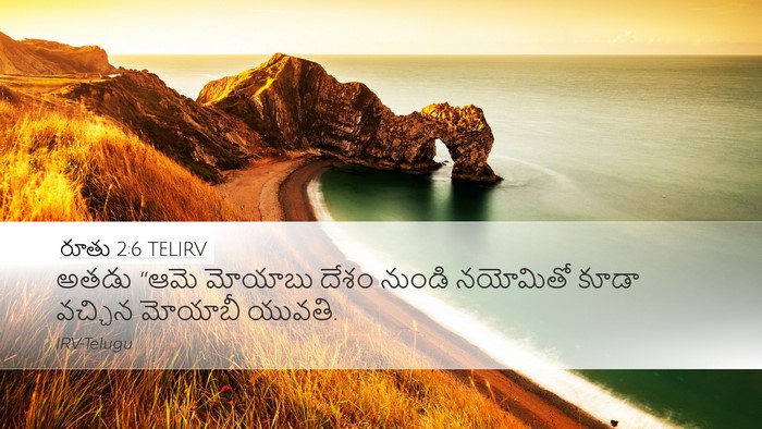 రూతు 2:6 TELIRV Desktop Wallpaper - అతడు “ఆమె మోయాబు - Desktop Bible Verse Wallpaper