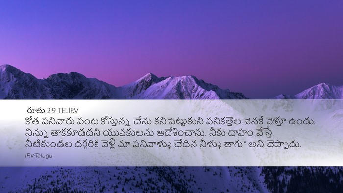 రూతు 2:9 TELIRV Bible Verse Image