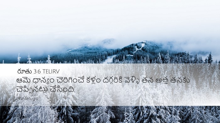 రూతు 3:6 TELIRV Desktop Wallpaper - ఆమె ధాన్యం - Desktop Bible Verse Wallpaper