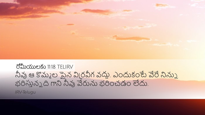 రోమీయులకు 11:18 TELIRV Bible Verse Image