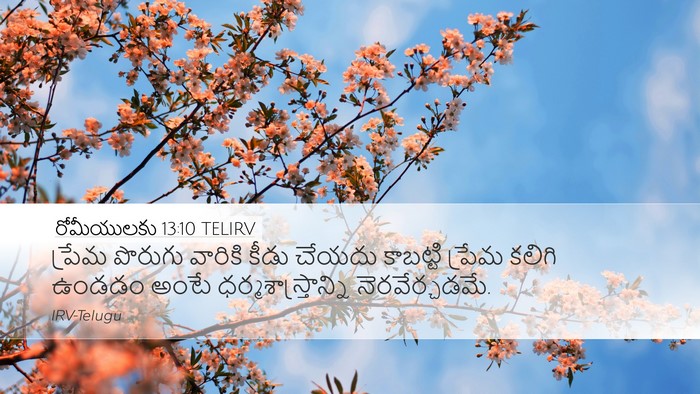 రోమీయులకు 13:10 TELIRV Bible Verse Image