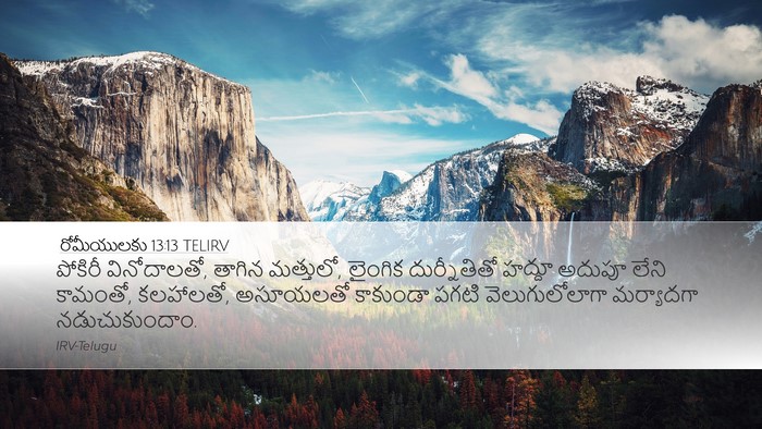 రోమీయులకు 13:13 TELIRV Bible Verse Image