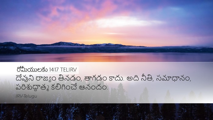 రోమీయులకు 14:17 TELIRV Bible Verse Image