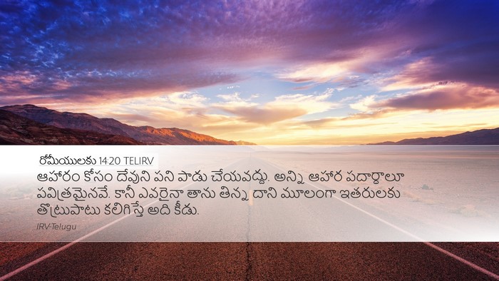 రోమీయులకు 14:20 TELIRV Bible Verse Image