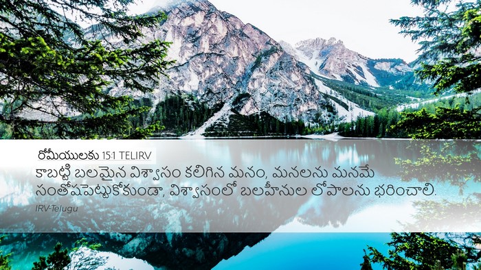 రోమీయులకు 15:1 TELIRV Bible Verse Image